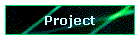 Project