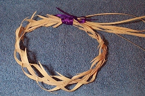 photo: crown of thorns