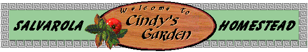 Salvarola Homestead: Welcome to Cindy's Garden
