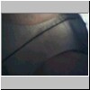 cpbt08.jpg