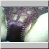 http://www.geocities.com/sam200905/assorted_panties/app