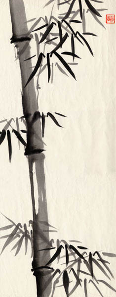 bamboo