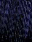 06_rain