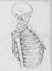 13_skeletonSketch