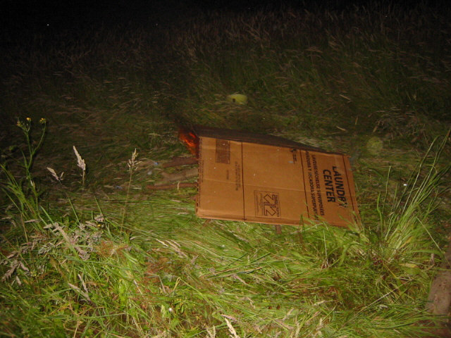 cardboard