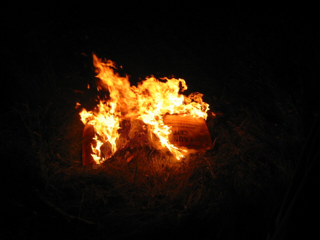 Cardboard burns good