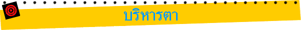 �����õ�