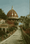 puka4.gif (6696 bytes)