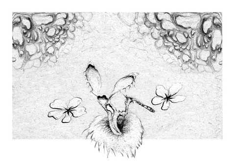 Graphics 16 - 1985-98/2000 - 28,3x20cm