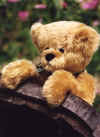Teddy.jpg (14073 bytes)