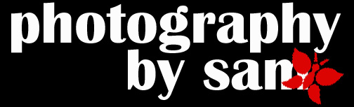 Welcome to Samantha's Potrait Site!