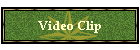 Video Clip