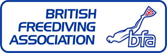 bfa logo