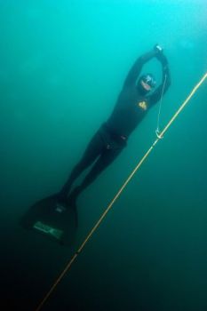 diver coming up by gavin parsons