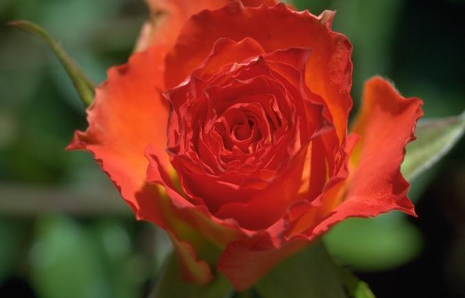 Poesias de Amor, Desejo e Paix�o