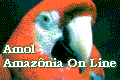 Amaz�niaOnLine