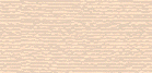 section1.gif