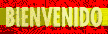 VERSI�N ESPA�OLA