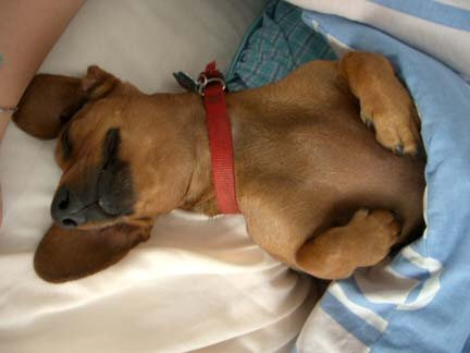 he is so cute!
