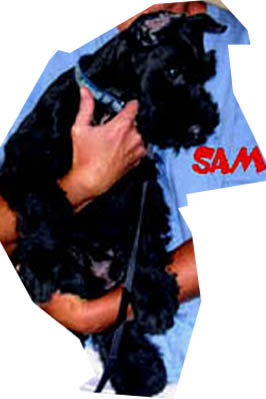 sam
