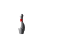 bowling3.gif (7417 bytes)