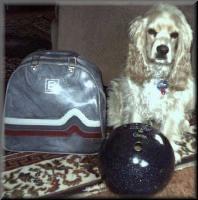 bowlpup.jpg (9006 bytes)