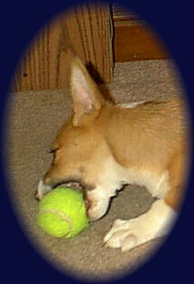 To the page of Sammie's Links