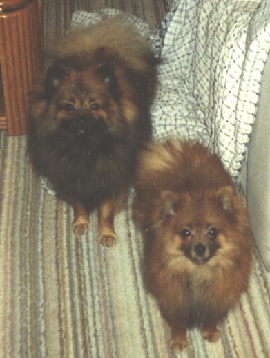With brother Teddy