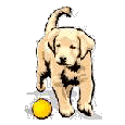 Links on dog rescue, puppy mills, reasons my dad taught me right!