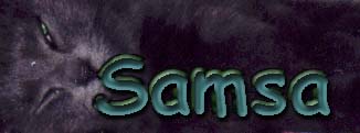 Samsa Banner