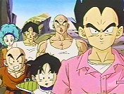 Bulma, Yamcha, Tien, Krillin, Gohan & Vegeta