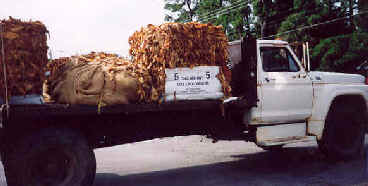 Tobacco is now sold in bales instead of sheets, both shown on this truck.