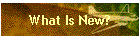 What Is New?