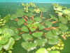 Plants_03.jpg (70542 bytes)