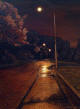 Corner of Queens Drive and Duncan Street, Dunedin