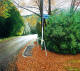 Corner of Queens Drive and Duchess Avenue, Dunedin