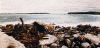 Wreck of the Miniwi, Cape Banks, NSW