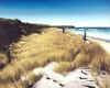 Divergence - Lawyers Head from St Kilda Beach, Dunedin, New Zealand