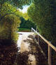 Path up to Queens Drive, Dunedin