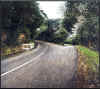 Fork in road, Queens Drive, Dunedin, New Zealand