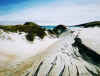 Study of sand dunes, Sandfly Bay, Dunedin