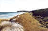 St Clair Beach, Dunedin, New Zealand
