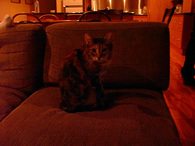 Ike's Sister