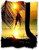 Sun Set View photo