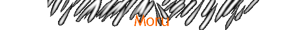 Moru