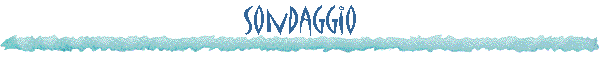 Sondaggio