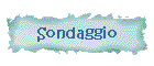 Sondaggio
