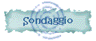 Sondaggio