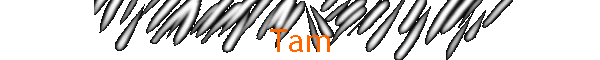 Tam