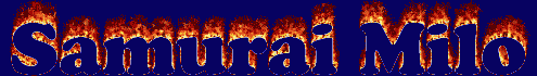 Enter The Burning Heart Of The Cat Ronin